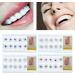 XIANGBEI 10pcs Colorful 2mm Crystal Teeth Jewelry - Fashion Gem Decorations in Box - Buy Online on GoSupps.com