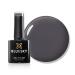 Bluesky Gel Nail Polish 10ml Grey Respect - AW2320 Grey Soak-Off Gel Polish for 21 Day Manicure Professional Salon & Home Use Requires Curing Under UV/LED Lamp