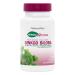NaturesPlus Herbal Actives Ginkgo Biloba Extended Release - 60 Tablets - Vegetarian Gluten Free - 60 Servings