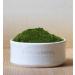 Terrasoul Superfoods Organic Barley Grass Juice Powder - 5 oz - Buy Online on GoSupps.com