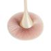 Buy No LIFE 2PC Large Head Makeup Brush Set | Jumbo Fluffy Round Blush & Kabuki Brushes for Flawless Contouring & Blending | International Shipping Available - Buy Online on GoSupps.com