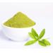 Stevia Powder 250g (BWFO)