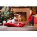 Buy Lionet Paws Christmas Dog Bandana | Headscarf & Towel for All Dog Sizes - Festive Holiday Style - Buy Online on GoSupps.com