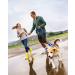 (2 Pack) 30FT Long Dog Leash for Dog Training Check Cord Recall Training Agility Lead for Large Medium Small Dogs Rope Leashes Great for Playing Camping or Backyard 30FT Gray & Blue - Buy Online on GoSupps.com