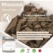 Fatima's Garden Rhassoul Clay - 100% Natural Moroccan Ghassoul Clay with Argan Oil and Eucalyptus - 15oz/425g Pack - Face, Hair, and Hammam Cleansing - Buy Online on GoSupps.com