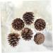 ABOOFAN 72 Pcs Xmas Pine Cone Ornaments Christmas Pine Cone Pine Cone Decorations Pine Needles Natural - Buy Online on GoSupps.com