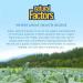 Natural Factors L-Tyrosine 500mg | 60 Vegetarian Capsules - Boost Mood & Focus - Buy Online on GoSupps.com