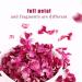 Dried rose petals1.76oz/50g Clean and complete rose petals - Natural Edible Flowers - Non-GMO - Caffeine-free - Use in Tea Baking Crafting - Buy Online on GoSupps.com