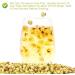 PlantGift White Plum Blossom Tea Flower 35G/1.23oz - Dried Plums Plum Tea Flower for Tea Herbal Floral DIY Craft - Buy Online on GoSupps.com