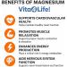 Vita4Life! - Premium Magnesium Citrate High Absorption Capsules (240 Count) - Buy Online on GoSupps.com