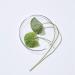 Aging Prevention CLARIFYING MICELLAR Water FACE D COLLET Lips Make-UP + HYALURON CICA & Aloe Vera I HARNN White Mulberry & CICA Collection 100ML - Buy Online on GoSupps.com
