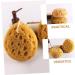 2pcs Honeycomb Bath Sponge Set | Exfoliating Shower Scrubber & Body Wash Supplies - International Shipping Available - Buy Online on GoSupps.com