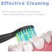 Senyum Toothbrush Replacement Heads | 10 Pack for Fairywill FW-507/508/551/515/917/959 & FW-D1/D3/D7/D8 - Buy Online on GoSupps.com