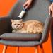 SPICOM Lint Roller 5 Sticky Replacement Heads with 1 Handle Total 300 Easy Peel Sheets Quickly Removes Animal Fur Cat & Dog Hair Dust & Fluff from Clothes Furniture Carpet (5 Pack / 300 Sheets) - Buy Online on GoSupps.com