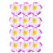 12pcs Frangipani Flower Hair Clips - Foam Hair Accessories for Weddings & Beach Parties - Perfect for Women & Girls - Buy Online on GoSupps.com