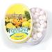  G n rique Anis de Flavigny Authentic aniseed candies in a 50g oval tin Lemon | Tradition & Artisanal Pleasure - Buy Online on GoSupps.com