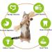Tuibeidamai Matatabi Catnip Sticks Set - 4pcs Cat Teeth Cleaning Toys for Biting Chewing & Play - Buy Online on GoSupps.com