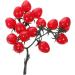 Ciieeo 4pcs String Simulated Cherry Tomatoes Kids Educational Toy Simulation Realistic Foam Food Mini Toys Decorative Cherry Tomatoes Faux Pvc Red Child Household Small Tomatoes Redx4pcs 18X16CMx4pcs - Buy Online on GoSupps.com