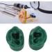 Simulated Pair Human Ear Model for Acupuncture Display - Soft, Slick, Water-Resistant (Green) - Buy Online on GoSupps.com
