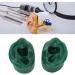 Simulated Ear Model - Soft Silicone Acupuncture Ear Model (Green) for Clinics | High Toughness & Durability - Buy Online on GoSupps.com