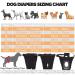 Washable 3-Way Trousers for Dogs Stylish & Durable Pet Apparel | Worldwide Shipping - Buy Online on GoSupps.com