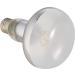 Trixie Basking Spot Lamp 150W - 95x130mm | Ideal Heat Source for Reptiles - Buy Online on GoSupps.com