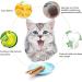 Silvervine Sticks for Cats - Natural Matatabi Chew Toys for Cat & Kitten - 12 PCS - Buy Online on GoSupps.com