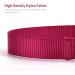 Audwud Thick Nylon Dog Collar - Adjustable Neck Band in Very Berry Perfect for Small Medium & Large Dogs | 4 Sizes (L: 42-63 cm) - Buy Online on GoSupps.com