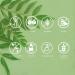 SETNUTRA Well From Within Pure Neem Leaf Extract 500Mg | Natural Detox Support Skin Health & Immune Support | Non GMO Gluten Free Vegan Capsules (120 Count) - Buy Online on GoSupps.com