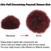 Burgundy Afro Puff Drawstring Ponytail Extension Human Hair for Black Women Short Afro Kinky Curly Bun Updo Hairpieces Extensions Human Hair with Two Clips (99J) Burgundy-#99J - Buy Online on GoSupps.com
