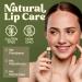 Earth's Daughter SPF 15 Lip Sunscreen 4-Pack with Organic Coconut Ingredients - Paraben and Gluten Free - Buy Online on GoSupps.com