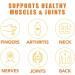 Body Therapy Bee Venom Joint & Bone Therapy Spray Bee Venom Serum Spray Intensive Concentrate for Joint and Muscle Recovery Bee Venom Gel Bee Venom Joint and Bone Therapy Cream (2PC) - Buy Online on GoSupps.com