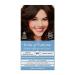 Tints of Nature Natural Permanent Hair Dye, Nourishes Hair & Covers Greys, 1 x 130ml - 4N Medium Brown Single Medium Brown (4N)