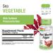 Buy Solaray Red Marine Algae 375 mg - 100 VegCaps | Boost Health Naturally - Buy Online on GoSupps.com