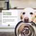 Reavet Ruheformel for Dogs - Natural Calming Supplement with Valerian Lemon & Organic Hemp Seed | 100g for Relaxed Balanced Dog Life | Help with Anxiety Excitation & Travel Stress - Buy Online on GoSupps.com