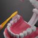 Bwardyth Dental Model - Anatomical Teeth Typodont for Brushing & Flossing Practice - Ideal for Dental Education & Demonstration - Buy Online on GoSupps.com