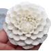 Silicone Dahlia Flower Mold | 3D Fondant Form for Baking & Craft | Non-Stick Decorative Silicone Tool for Desserts & Cakes - Buy Online on GoSupps.com