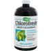 Natures Way Chlorofresh Liquid Natural Flavor - 16 oz | Natural Detox & Breath Freshener - Buy Online on GoSupps.com