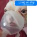 Pet Aerosol Chamber for Cats and Small Dogs | Fits Comfortably | Silicone Mask | All Pets - Buy Online on GoSupps.com