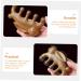 Healeved 5pcs Massage Comb Set - Eco-Friendly Green Sandalwood Hair Care Tools for Women - International Shipping Available - Buy Online on GoSupps.com