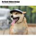 Adjustable Dog Baseball Hat - Sun Protection Cap for Small & Medium Dogs | Outdoor Sport Cap with Ear Holes | Blue M - Buy Online on GoSupps.com