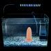 Balacoo 1 Set Spawning Bucket Fish Tank for Betta Fish Ceramics Fish Spawning Cave Fish Tank Supply Shield 23X11X11CM Chocolate - Buy Online on GoSupps.com