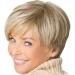 Blonde short wig layer layer natural hair with pony synthetic wig heat -resistant full wigs for women and girls short smooth hair