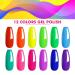 LILYCUTE Neon Gel Nail Polish Set - 12 Colors Fluorescent Neon Gel Polish Kit for Halloween, Spring, Summer - Soak Off LED Nail Gel Set Holiday Gift - Graffiti Art Design - Buy Online on GoSupps.com