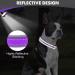 Shop Joytale Purple Neoprene Dog Collar - Softly Padded Reflective for Medium Dogs | Durable & Comfortable (1 Pack) - Buy Online on GoSupps.com