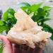Crystal 200g-2000g Rough Natural Clear Geode Quartz Cluster Crystal Stone 1pc Suitable for Home Office Decoration Full of Texture (Color : 320g-450g 1pc)