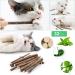 OSDUE Catnip Sticks - 32 Pieces Matatabi Chew Toys for Cats | Dental Care & Breath Freshener - Buy Online on GoSupps.com