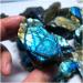Dazzle Labradorite Original Stone Quartz Crystal Rough Specimen FZUGEDRLI (Size : 700-750g) - Buy Online on GoSupps.com