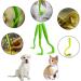 Musonic 3Pcs Tick Remover for Dog Cat Pet Animal Painlessly Tick Tool (Green) - Buy Online on GoSupps.com