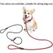 Avodova 2-Piece Adjustable Dog Leash Set | 1.3m Braided Nylon Leash for Small & Medium Dogs | Durable Training Tow Lines - Buy Online on GoSupps.com